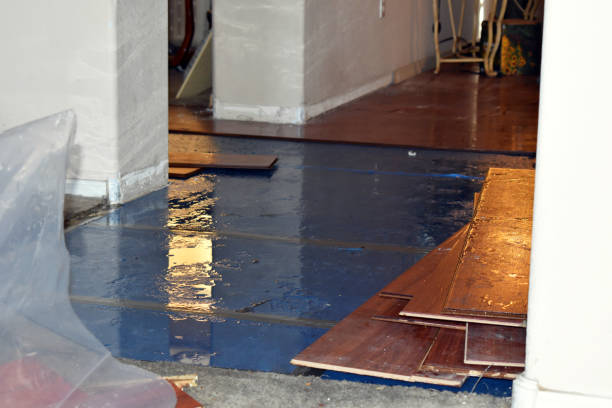 Professional Burst Pipe Cleanup technician working in Thurston, OH